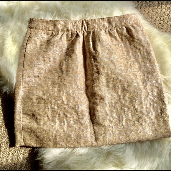 Gorgeous LOFT Silver/Gold Tan Mini Skirt - SZ: 4P - Picture 2 of 8